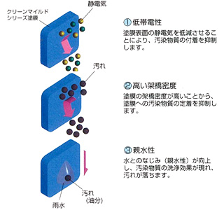 汚染除去メカニズム